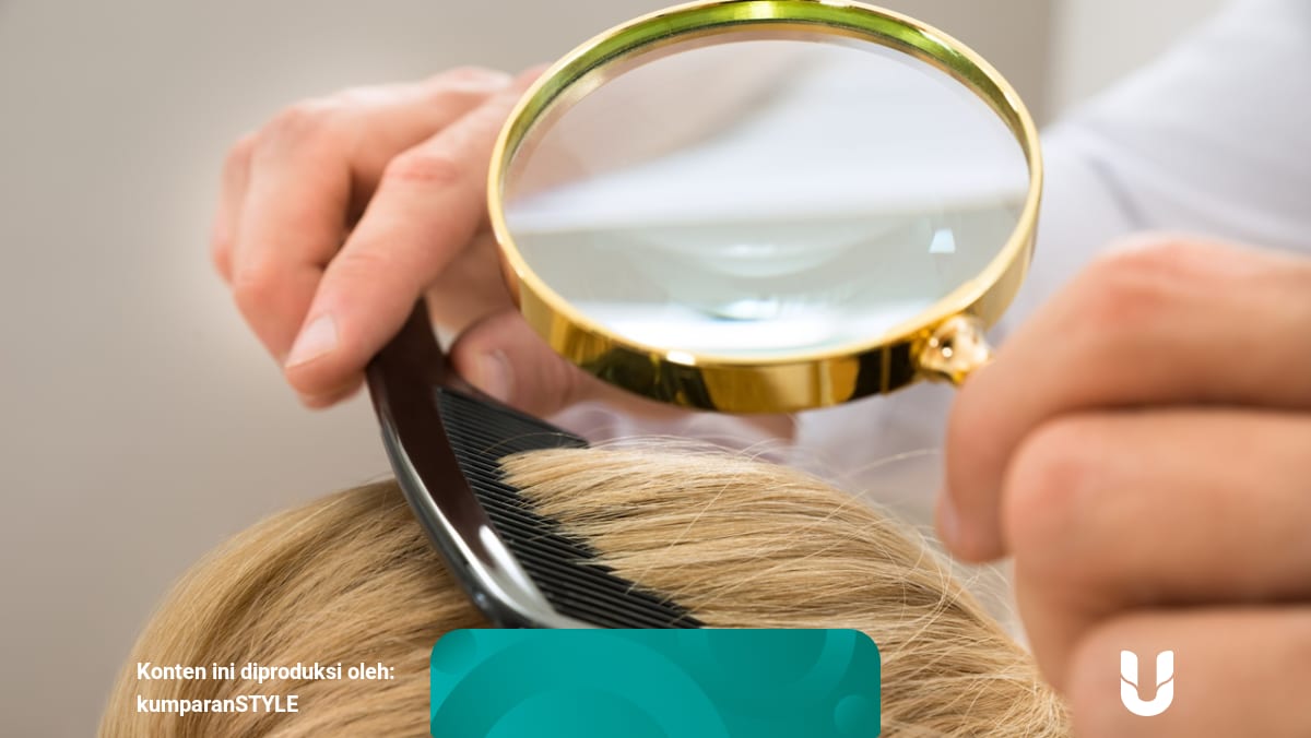 12+ Arti Mimpi Mencari Kutu Di Rambut Orang Lain